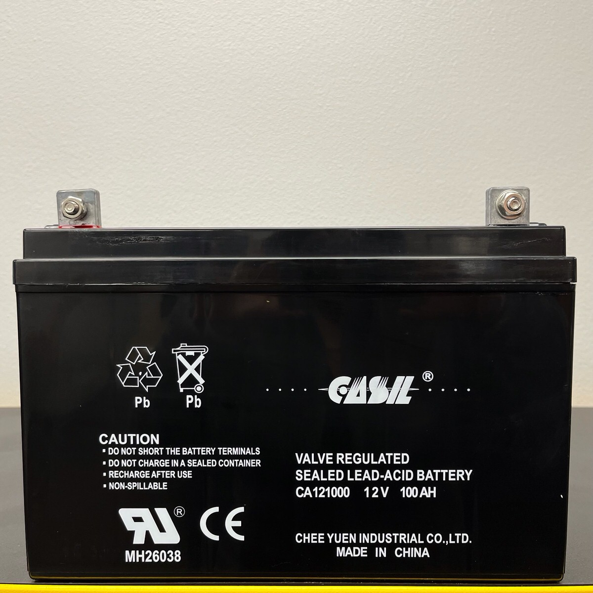 12VDC 100 AH Nut & Bolt