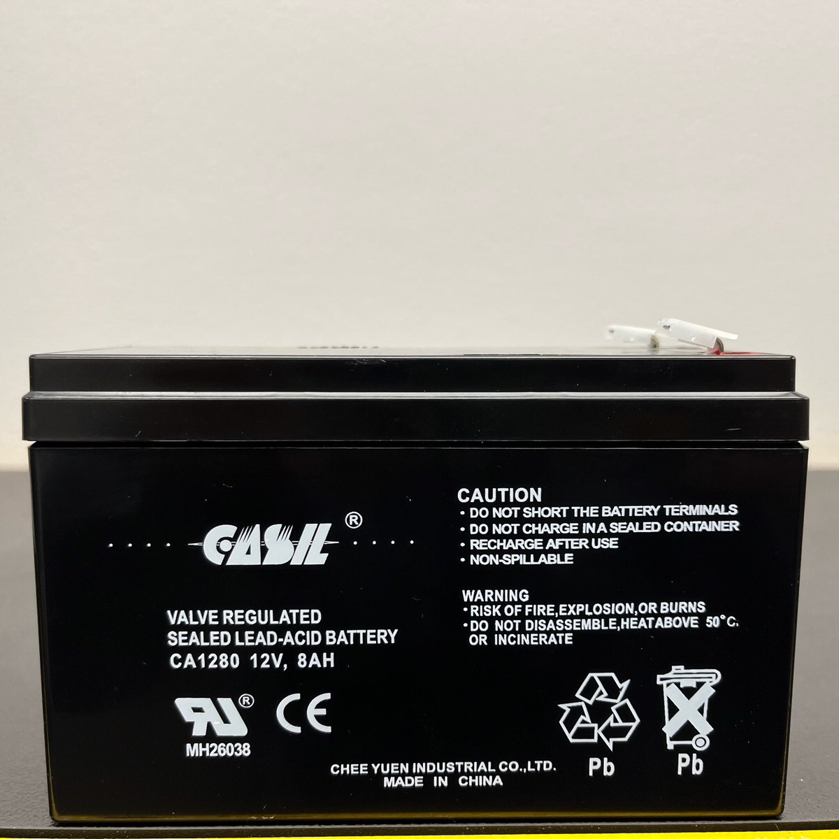 12VDC 8AH F2 Terminals